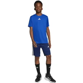 adidas Train Essentials 3-Streifen Set Team Royal Blue/White 176