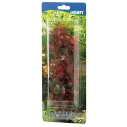 HOBBY Plant Ludwigia Aquarieneinrichtung 60 Centimeter