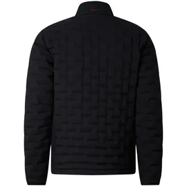 Bogner Fire + Ice Gray3-D black 48