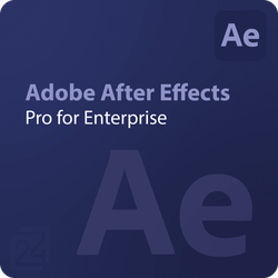 Adobe After Effects - Pro for Enterprise