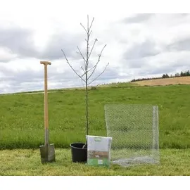 Kerbl Wühlmauskorb unverzinkt, grau