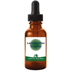 Lactobacillus Tropfen 20 ml