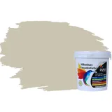 RyFo Colors Fassadenfarbe Silikonharz Fassadenfarbe Lichtgrau 1l, 1 L ca. 6 m2, Wasserabweisend, diffusionsfähig, schützt vor Schmutz, Algen, Pilzen grau