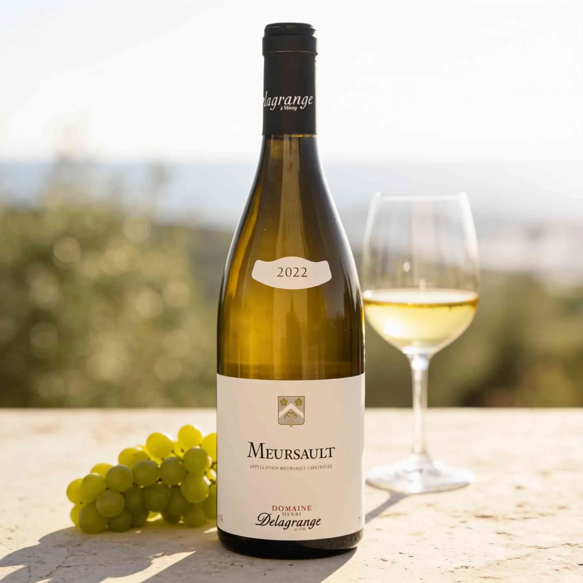 Domaine Henri Delagrange et Fils 2022 Domaine Henri Delagrange et Fils Meursault 2022 Chardonnay Frankreich