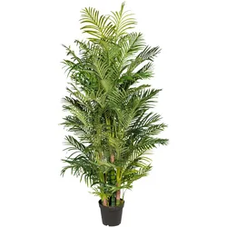 Kunstpalme CREATIV GREEN "Arecapalme", grün, H:220cm, Kunststoff, Kunstpflanzen