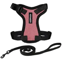 Best Pet Supplies Voyager Step-in Lock Katzengeschirr und reflektierende Katzenleine mit Neoprengriff by Best Pet Supplies - Unterstützt kleine, mittlereund große Katzenrassen, Rosa / Schwarzer Rand, size XXS - 1,5 m
