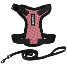 Best Pet Supplies Voyager Step-in Lock Katzengeschirr und reflektierende Katzenleine mit Neoprengriff by Best Pet Supplies - Unterstützt kleine, mittlereund große Katzenrassen, Rosa / Schwarzer Rand, size XXS - 1,5 m