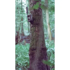 SEISSIGER Baumstativ für Wildkameras