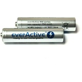 everActive Akku AA 2000 mAh 2 Stück, NI-MH, R6, wiederaufladbare Batterien, vorgeladen, Silver Line 1.2V, 1 Blisterkarte