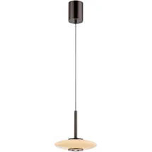 Paul Neuhaus PURE Vitrum 1-flg. höhenverstellbar 60 cm dunkelbraun