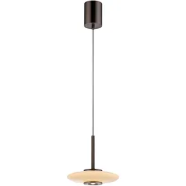 Paul Neuhaus PURE Vitrum 1-flg. höhenverstellbar 60 cm dunkelbraun