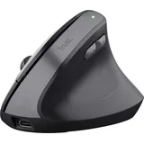 Trust TM-270 Ergonomic Wireless Mouse schwarz, USB (25371)