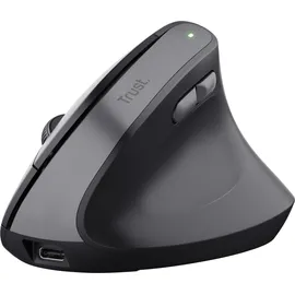 Trust TM-270 Ergonomic Wireless Mouse schwarz, USB (25371)