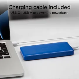 SBS Powerbank fast charge mit 10.000 mAh und 2 USB Hellblau