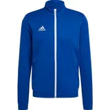 Team Royal Blue 3XL