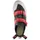 Red Chili Session Air Rot 37,5