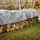 ECD Germany Abdeckplane Gewebeplane mit Ösen 5x4m 20m2, 650g/m2, Grau, PVC, Wasserdicht, Reißfest, 10 Haken, LKW-Plane Bootsplane