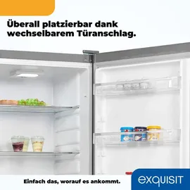 Exquisit KS350-V-H-040D Kühlschrank (331 l, 1715 mm hoch, Inoxlook)