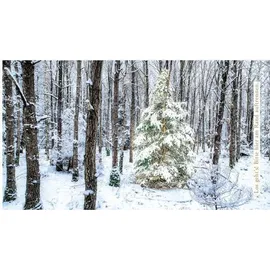 ars vivendi Escape Christmas Adventskalender