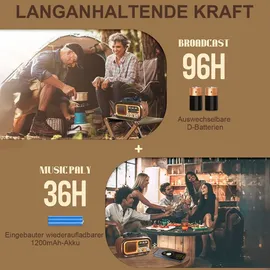 lychee Retro-Radio blau