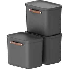 Rotho Stapelbox Maloja 39,5 x 26,5 x 34 cm 3-tlg. schwarz
