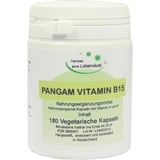 G & M Naturwaren Import GmbH & Co. KG Pangam Vitamin B15 Vegi Kapseln