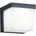 Außenwandleuchte 1x3W 330lm IP54 schwarz