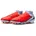 Royal Tint/Bright Crimson 41
