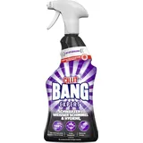 CILLIT BANG Schwarzer/Weisser Schimmel & Hygiene 3 x 750 ml