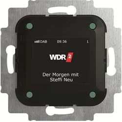 BUSCH-JAEGER Busch-Radio DAB+ 8215 U-101