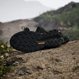 Adidas Terrex Trailmaker 2 GTX Herren Core Black / Grey Four / Carbon 50 2/3