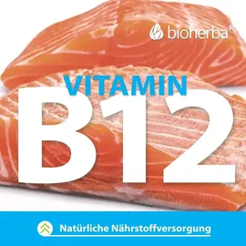 Bioherba Vitamin B12 Kapseln 100 Stück