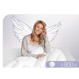 SCHLAFSTIL Daunendecke D800 medium, Füllung: 100% Prachtgänsedaunen