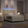 vidaXL Boxspringbett 140 x 200 cm Creme