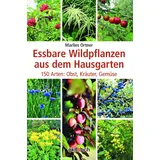 ökobuch Verlag GmbH Essbare Wildpflanzen aus dem Hausgarten