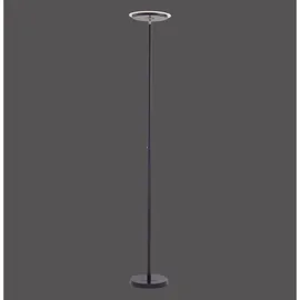Licht-Erlebnisse Haldor 2500 lm Schwarz