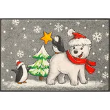 Wash+Dry Fußmatte, Polar Friends 50x75cm, innen und außen, waschbar, bunt