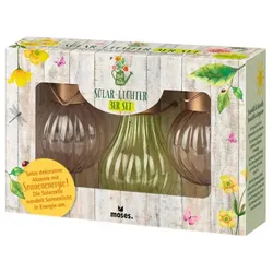 Moses Blatt & Blüte Solar-Lichter 3er Set