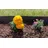Premium Garden Wurzelsperre für Rasenkanten 10 m x 20 cm