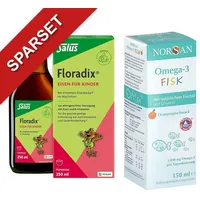 NORSAN Floradix Eisen Tonikum + Norsan Omega-3 Fisk für