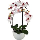 Fuchs Versand 24/7 Kunstpflanze Phalaenopsis 3D-print im Keramiktopf, 52 cm, rosa,