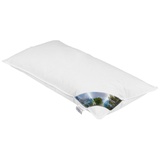 Bielefelder Bettfedern Kopfkissen ZIRBE, Makobezug - 40 x 80 cm - Daunen - Federn - Zirbe