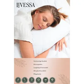 livessa Bettdecke 155x220 mit 2er Set Kissen 80x80 cm Ganzjahresdecke warme Steppdecke Schlafdecke - Weiß