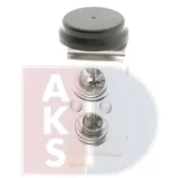 AKS DASIS Expansionsventil, Klimaanlage 840287N