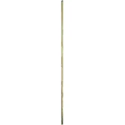 Besenstiel roh 1400X24mm