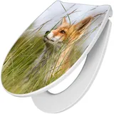 Banjado Premium Toilettendeckel Mit Absenkautomatik WC-Sitz Soft Close Hygienischer Klodeckel Duroplast Mit Motiv Fuchs