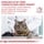 Royal Canin Urinary S/O 1,5 kg