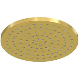 Steinberg Regenbrause Ø 22 cm, rund, EasyClean, brushed Gold (3401686BG)