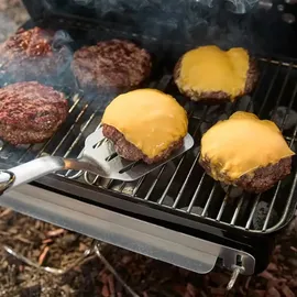 Weber Go-Anywhere 1131004
