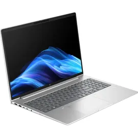 HP EliteBook 6 G1a 14" Ryzen 7 250 32 GB RAM 1 TB SSD Radeon 780M Win11 Pro Silber